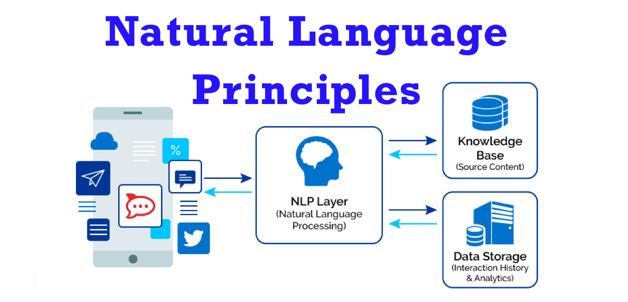 Natural Language Processing VNPT